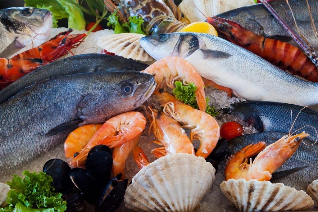 Shellfish and prawns on ice